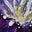 vMaras.art logo